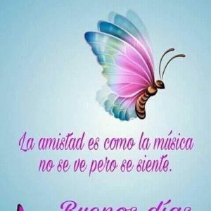 Meet your Posher, Karina